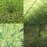 Reminisce Nature's Textures Forest Greens Patterned Paper