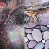 Reminisce Nature's Textures Shades of Purple Patterned Paper