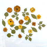 49 and Market Rustic Blooms - Marigold