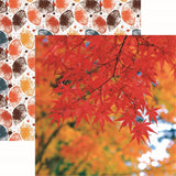 Reminisce Simply Autumn Hello Autumn Patterned Paper