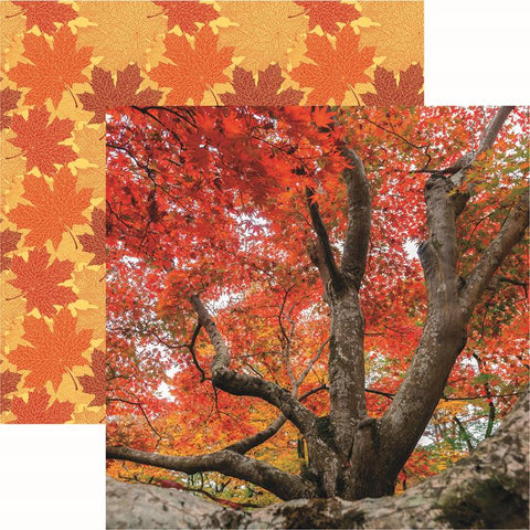 Reminisce Simply Autumn Autumn Colors Patterned Paper