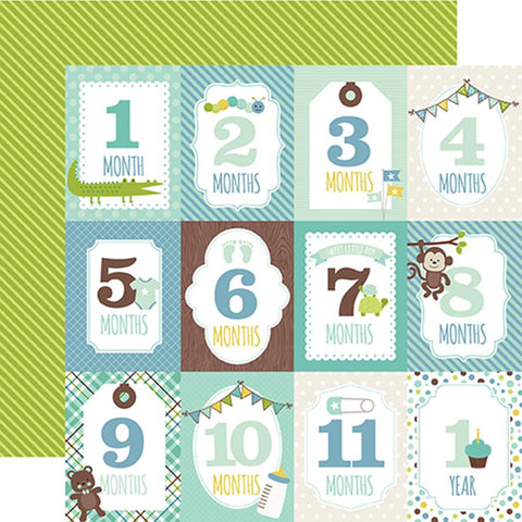 Echo Park Sweet Baby Boy Month Cards Patterned Paper