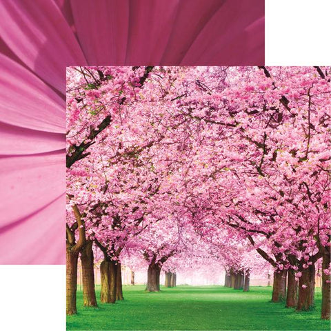 Reminisce Springtime Cherry Trees Patterned Paper
