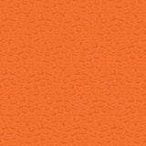 My Colors Sheen Cardstock - Pumpkin Face Orange / Tangerine