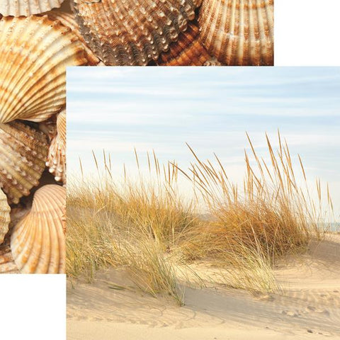 Reminisce Vitamin Sea Beachgrass Patterned Paper